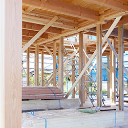 インスタグラムの画像